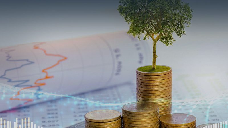 流程优化咨询实施步骤解析：企业高效运营的秘诀